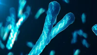 Y Chromosome Loss in Aging Men Poses Serious Health Risks, Research Reveals