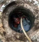 315 Sanitation Workers Died in Sewer Cleaning Over 5 Years; Maharashtra Leads with 53 Fatalities