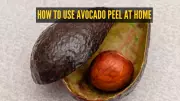 5 Innovative Ways to Use Avocado Peel in Your Daily Meals