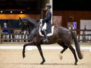 Anush Agarwalla Makes International Debut at Belgium Dressage with Floriana and Flynn