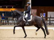 Anush Agarwalla Shines in Belgium, Advances Asian Games Equestrian Quest