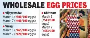 AP Poultry Crisis: Egg Prices Plummet 40%, Farmers Face Rs 4 Crore Daily Loss