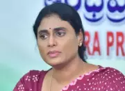 APCC Chief Sharmila Accuses YSRCP of Diverting Attention from Viveka Murder Case
