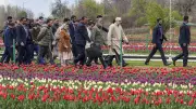 Asia's Largest Tulip Garden Opens in Kashmir, Boosting Tourism Hopes