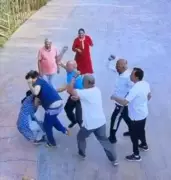 Bengaluru Dog Walk Dispute Turns Violent, Police Register Cross Cases