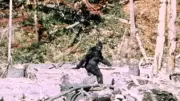Bigfoot Sightings Surge in Northeast Ohio: Multiple Reports Spark Legend Revival
