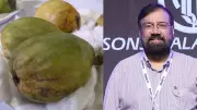 Billionaire Harsh Goenka's Viral Post Reveals India's Royal Kohitur Mango