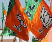 BJP Leader Alleges Illegal Hill Leveling in Majri, Chandigarh