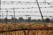 BSF Eliminates Pakistani Intruder at Tarn Taran Border, Foils Infiltration Bid