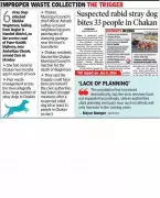 Chakan Stray Dog Attack: Activists Blame Civic Inaction for Woman's Death