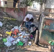 Chandigarh MC's Tough Choice for Litterbugs: Pay Heavy Fine or Clean Streets