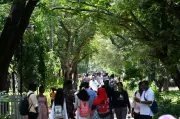 Chennai Launches 10 Crore Green Scheme to Combat Urban Heat with Native Trees