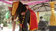Chennai Temple Embraces Robotic Elephant Airavatham to End Animal Use in Rituals