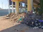 Chennai's New Flyover Creates Pedestrian Peril: Residents Demand Safety Measures