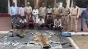 Chhattisgarh Wildlife Crime: Tiger, Leopard Poached, Consumed Before Skins Entered Illegal Trade