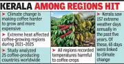 Climate Change Drives Up Coffee Prices, Threatens Production in Kerala