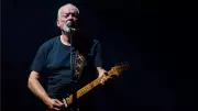David Gilmour's 'Black Strat' Sells for $14.55M, Shatters Guitar Auction Record