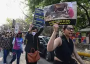 Delhi Citizens March for Animal Rights, Demand End to Institutional Cruelty