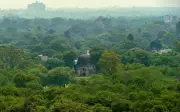 Delhi Government Announces New Forest Division Boundaries Across Capital