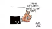 DH Toon: 'Situation Under Control' - A Satirical Take on Governance