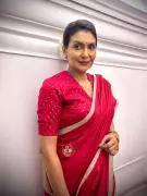 Dhurandhar 2's Punjab Artists: Janhavi Bansal and Singers Shine in Rs 1,000 Crore Hit