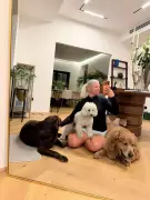 Dubai Pet Abandonment Crisis Deepens Amid Middle East Tensions