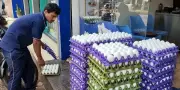 Egg Prices Plummet in Karnataka as Gulf Export Crisis Disrupts Market