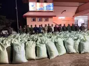 Gajapati Police Seize Over 4 Tonnes of Ganja Worth Rs 4 Crore in Major Drug Bust