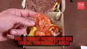 Gardener Grows Dozens of Tomatoes from a McDonald's Cheeseburger Slice