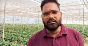 Gerbera Cultivation Subsidy Transforms Farmer Neeraj's Fortune in Barabanki