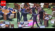 Goa Assembly Disrupted as Opposition MLAs Protest Over Stalled Bills