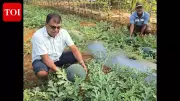 Goan Youth Ravikant Naik Champions Swayampurna Mission with Profitable Year-Round Farming