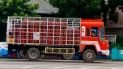 Government Mandates PNG Switch: LPG Supply to Cease for Households Refusing Conversion