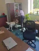 Gurgaon School Bomb Hoax: Police Launch Probe After Threat Email Triggers Major Scare