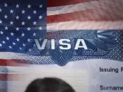 H-1B Visa Applications Plunge 50% After Trump-Era Policy Changes