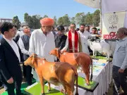 Haryana Agriculture Minister Urges Farmers to Embrace Natural Farming at Kharif Mela