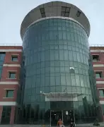 Haryana Library Fund Dispute: Directorate Seeks Report from Murthal University