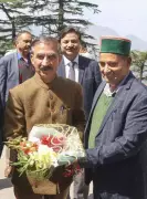 Himachal Pradesh Bans Heroin Accused from Panchayat Polls in Major Anti-Drug Push