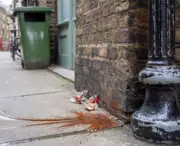 Indian-Origin Men Fined Over Rs 3 Lakh for Spitting Paan in UK, Sparking Online Debate