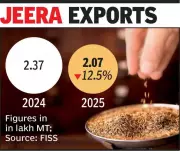 India's Cumin Exports Decline 12.5% in 2025 Amid Weak Global Demand