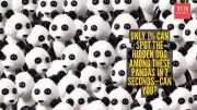 Internet's Latest Brain Teaser: Find the Hidden Dog in a Sea of Pandas