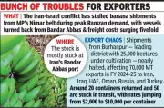 Iran-Israel Conflict Cripples India's Banana Exports, Prices Plummet