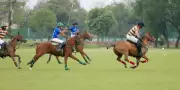 Jaipur Optiemus Achievers Triumph 9-6 Over Jindal Panther in Rain-Hit Polo Clash