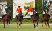 Jaipur Polo Season 2026: Team Jaipur Triumphs 13.5-3 in RPC Cup Match