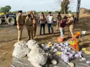 Jalandhar Police Incinerates Seized Narcotics from 45 Drug Cases