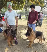 Jalandhar Science City Transforms into Popular Hub for Dog Lovers and Pet Enthusiasts