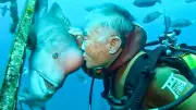 Japanese Diver's 30-Year Friendship with Wild Fish Captivates Global Audience