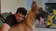 Kalidas Jayaram's Heartbreaking Farewell to His Great Dane Bunty on Instagram