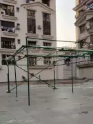 Kolkata Housing Societies Blend Tradition & Spectacle for Holi Celebrations