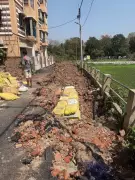 Kolkata's Parnasree Palli Road to Get Special Repair After Earthquake Damage